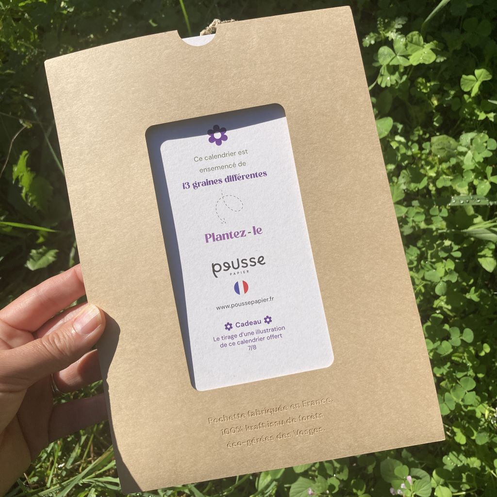 enveloppe carton calendrier à planter