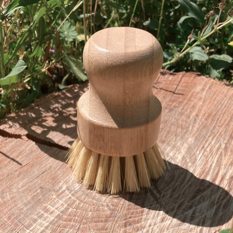 brosse vaisselle casserole