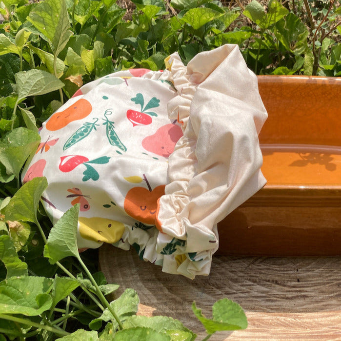 Charlotte alimentaire fruits