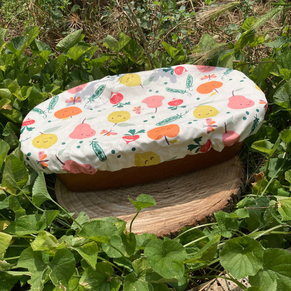 Charlotte alimentaire fruits