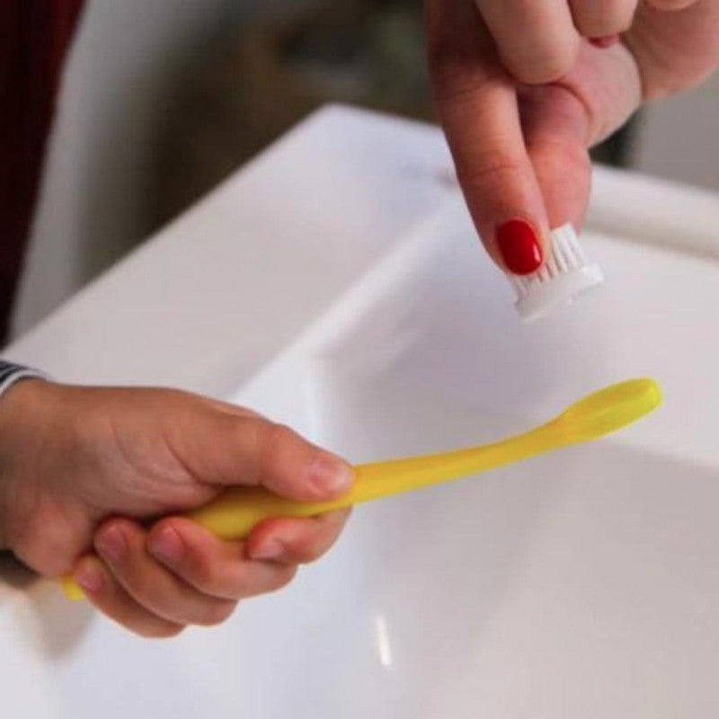 brosse à dent, enfant, tete interchangeable, ratoune, caliquo