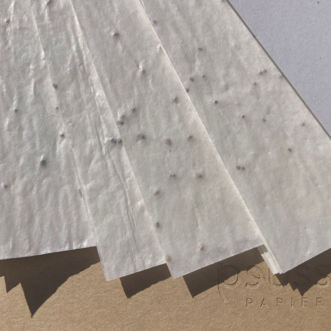 détail papier ensemencé de graines
