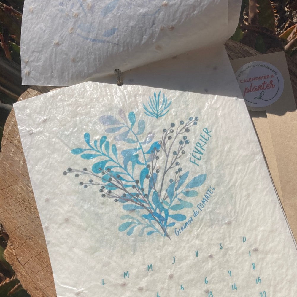 calendrier à planter : mois de février