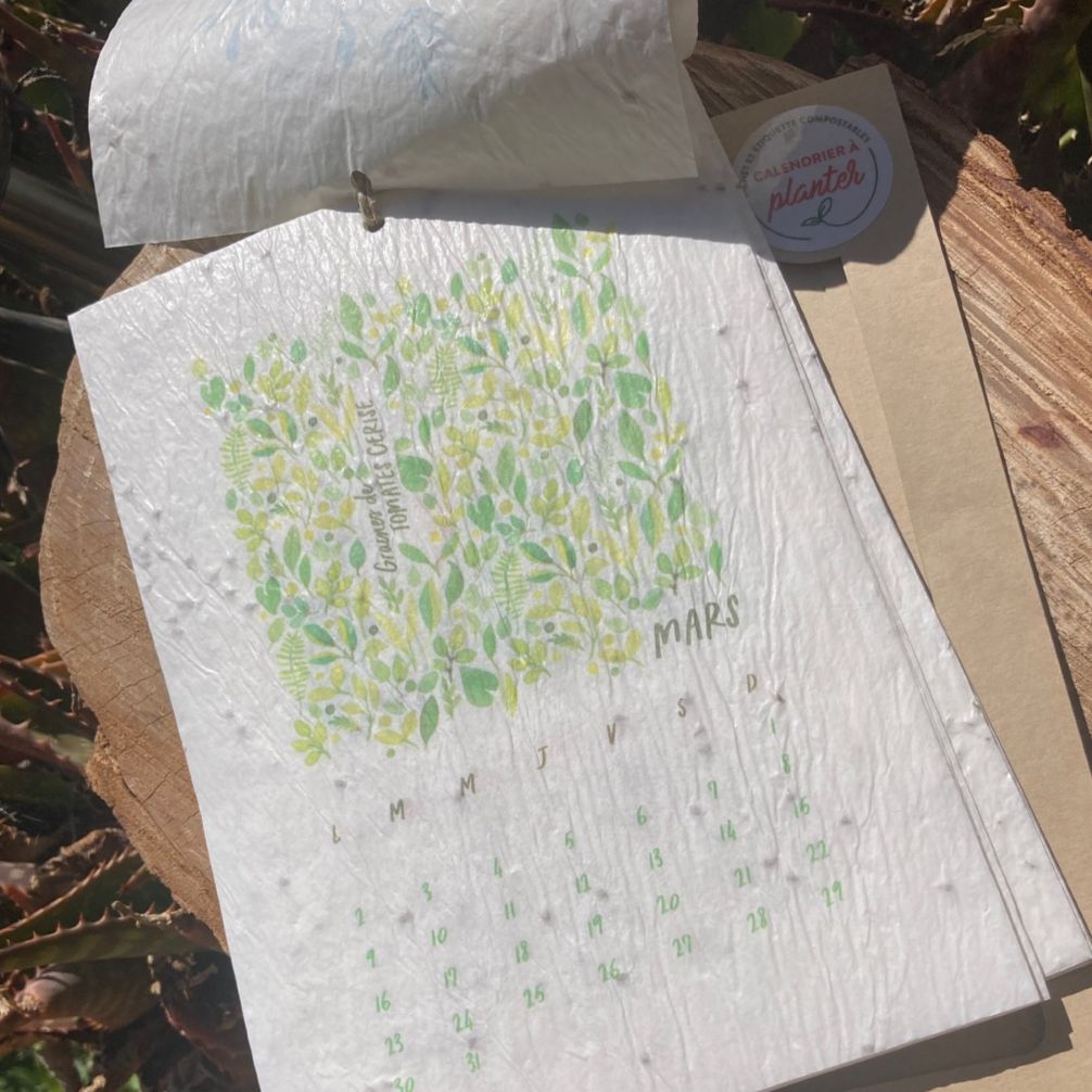 calendrier à planter : mois de mars