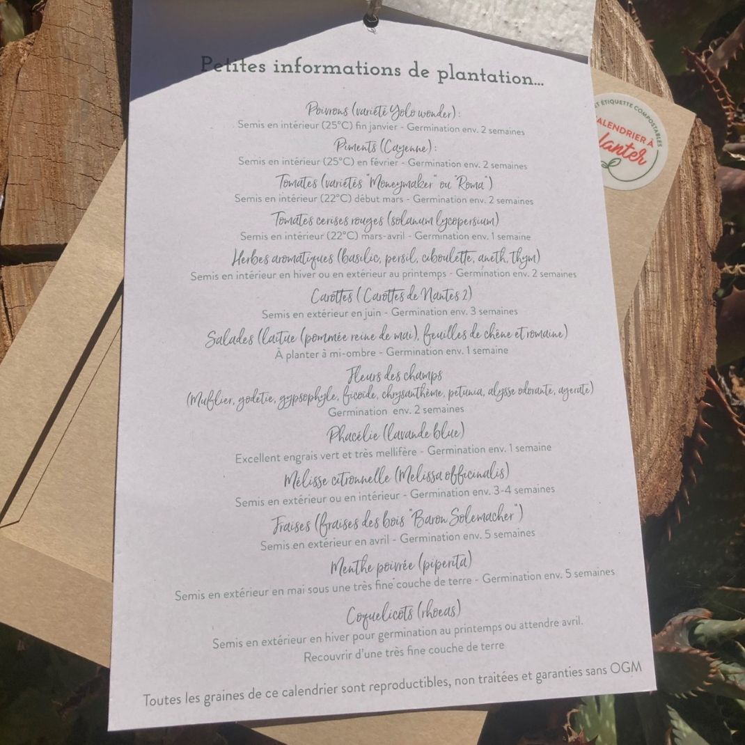 graines à planter dans du papier ensemencé