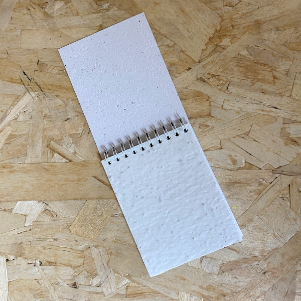 intérieur carnet en papier ensemence