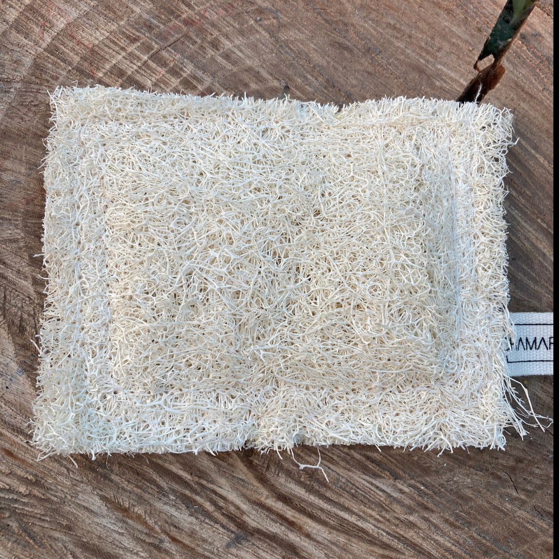 eponge, loofah, biodegradable, naturelle