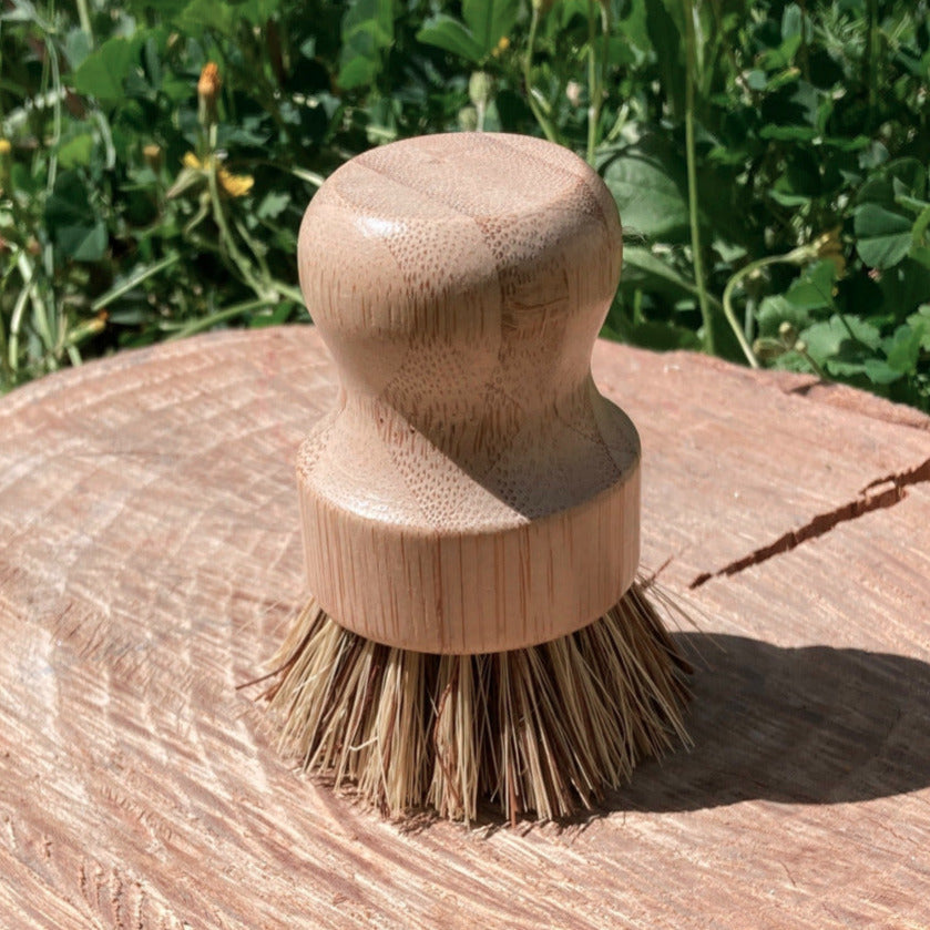brosse vaisselle en fibres naturelles