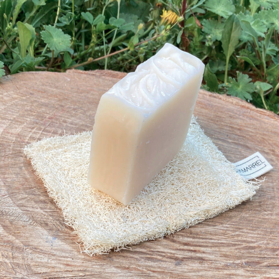 solide, vaisselle, savon, cuisine, nettoyage