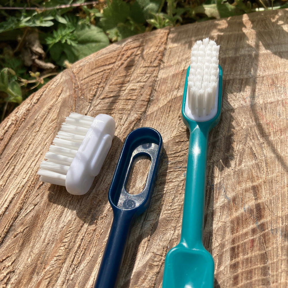 Brosse à dent réutilisable, tête interchangeable, recharge fibres, brosse à dent en bioplastique colorée, Zéro Déchet, Alpes Maritimes (06)