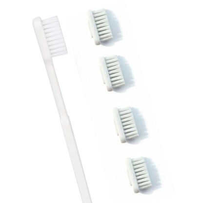Brosse à dents écologique + recharges