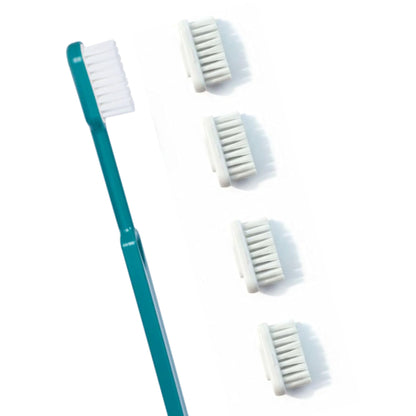 Brosse à dents écologique + recharges
