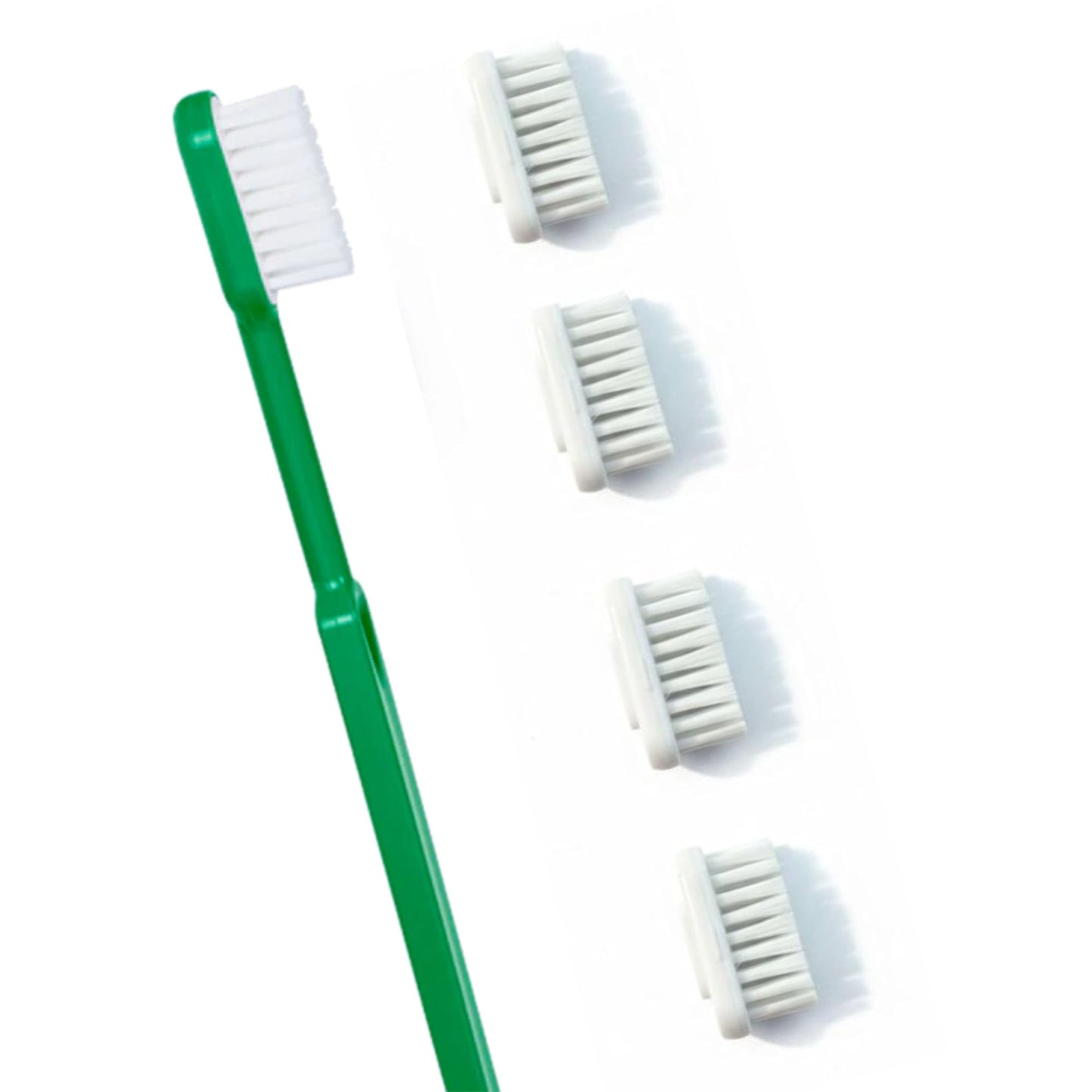 Brosse à dents écologique + recharges