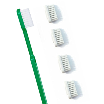 Brosse à dents écologique + recharges