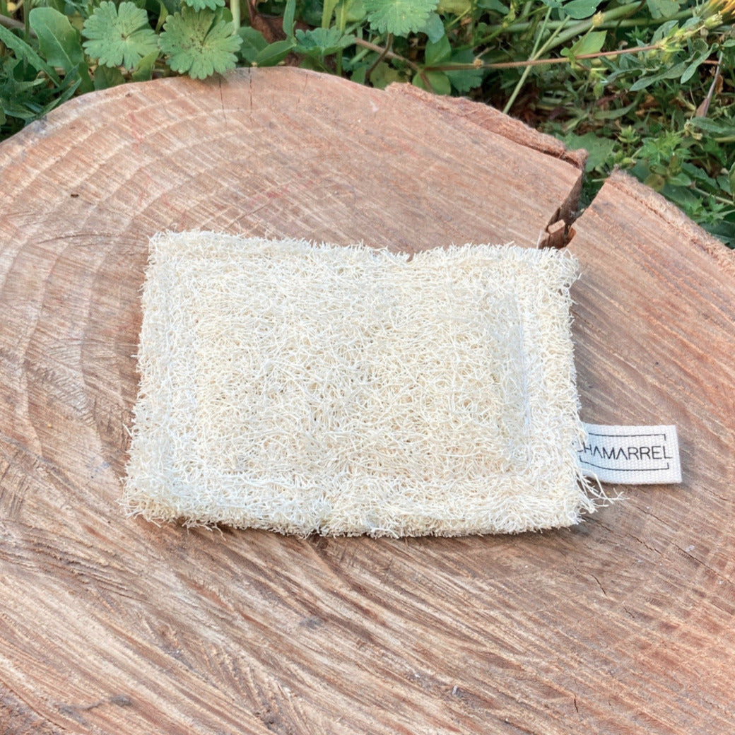 eponge, loofah, biodegradable, naturelle