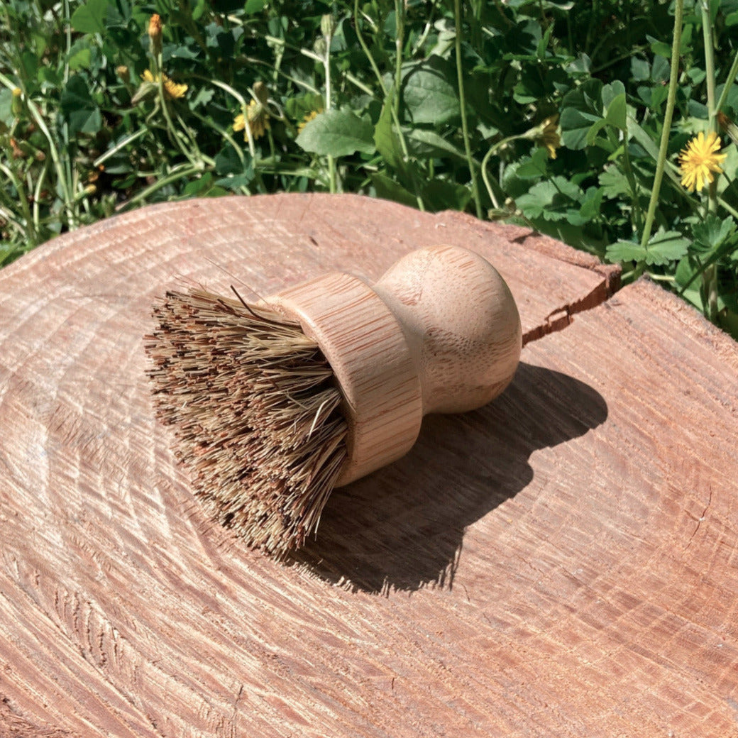 brosse vaisselle sur souche de bois