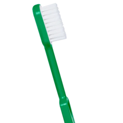 Brosse à dent réutilisable, tête interchangeable, recharge fibres, brosse à dent en bioplastique colorée, Zéro Déchet, Alpes Maritimes (06)