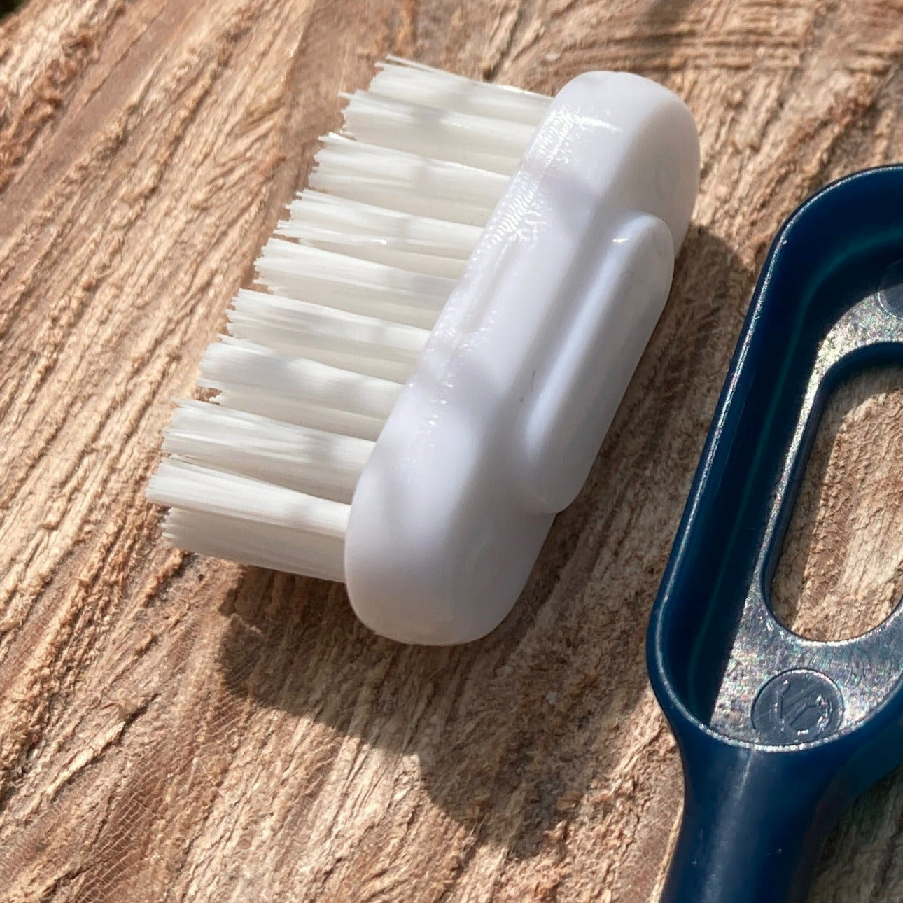 Recharge brosse à dents adulte : tête interchangeable à clipser