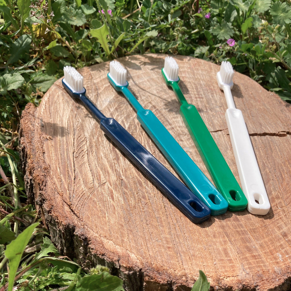 4 brosses à dents écologiques en bioplastique posées sur une souche d'arbre