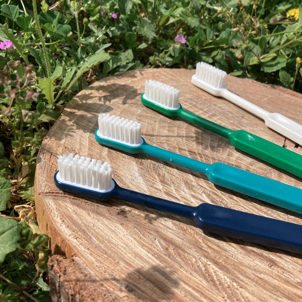 Brosse à dent réutilisable, tête interchangeable, recharge fibres, brosse à dent en bioplastique colorée, Zéro Déchet, Alpes Maritimes (06)