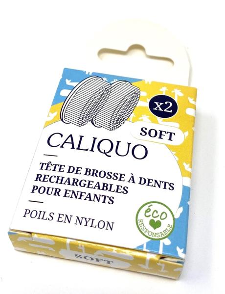 brosse à dent, recharge, poils, nylon, tete interchangeable