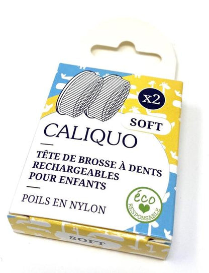 brosse à dent, recharge, poils, nylon, tete interchangeable