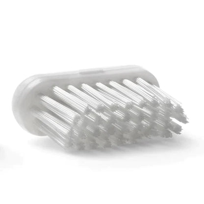 brosse à dent, recharge, poils, nylon, tete interchangeable